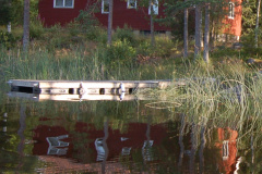 Westa backyard