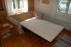 Bed sofa in living room